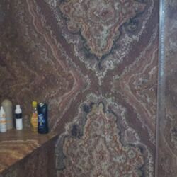 Master head shower